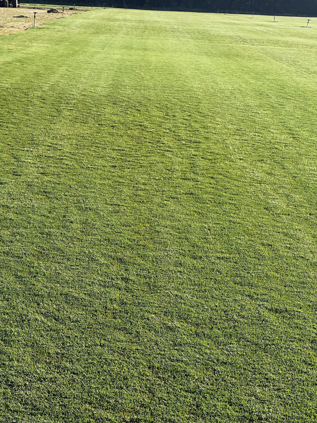 Zona de cultivo de césped natural de TECNITURF
